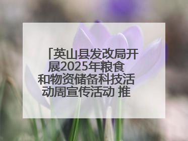 英山县发改局开展2025年粮食和物资储备科技活动周宣传活动 推进科技兴粮兴储