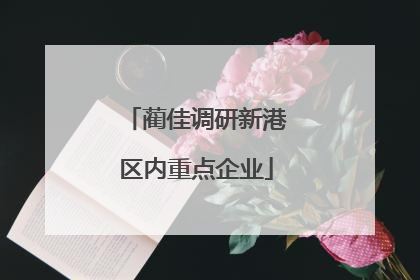 蔺佳调研新港区内重点企业