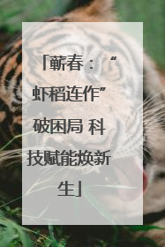 蕲春：“虾稻连作”破困局 科技赋能焕新生