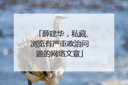 薛建华，私藏、浏览有严重政治问题的网络文章