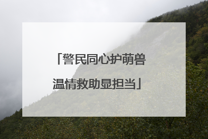 警民同心护萌兽 温情救助显担当