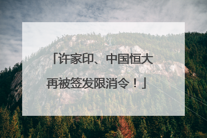 许家印、中国恒大再被签发限消令！