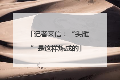 记者来信：“头雁”是这样炼成的