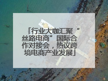 行业大咖汇聚“丝路电商”国际合作对接会，热议跨境电商产业发展