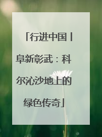 行进中国丨阜新彰武：科尔沁沙地上的绿色传奇