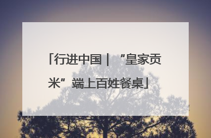 行进中国｜“皇家贡米”端上百姓餐桌