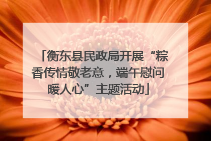 衡东县民政局开展“粽香传情敬老意，端午慰问暖人心”主题活动