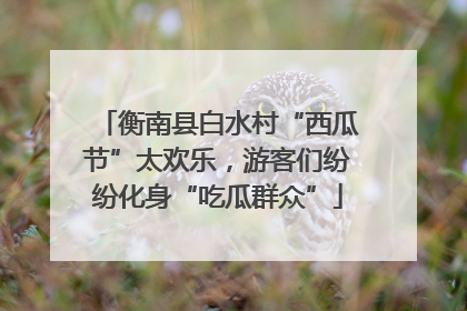 衡南县白水村“西瓜节”太欢乐，游客们纷纷化身“吃瓜群众”
