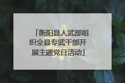 衡阳县人武部组织全县专武干部开展主题党日活动