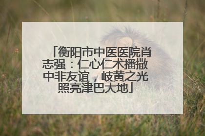 衡阳市中医医院肖志强：仁心仁术播撒中非友谊，岐黄之光照亮津巴大地