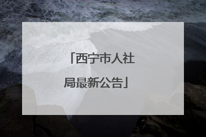 西宁市人社局最新公告