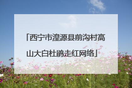 西宁市湟源县前沟村高山大白杜鹃走红网络