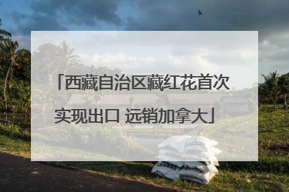 西藏自治区藏红花首次实现出口 远销加拿大