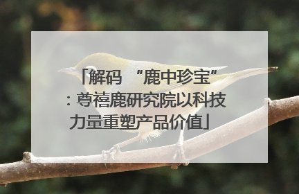 解码 “鹿中珍宝”：尊禧鹿研究院以科技力量重塑产品价值