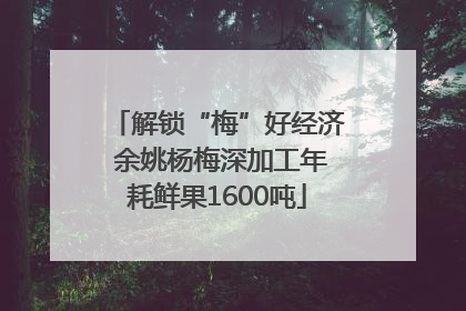 解锁“梅”好经济 余姚杨梅深加工年耗鲜果1600吨