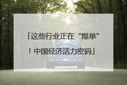 这些行业正在“爆单”！中国经济活力密码