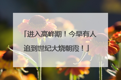 进入高峰期！今早有人追到世纪大烧朝霞！