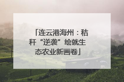 连云港海州：秸秆“逆袭”绘就生态农业新画卷