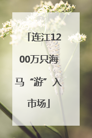 连江1200万只海马“游”入市场