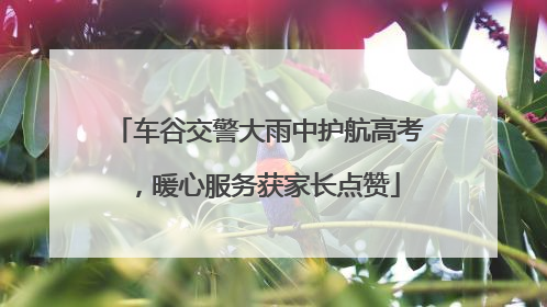 车谷交警大雨中护航高考，暖心服务获家长点赞