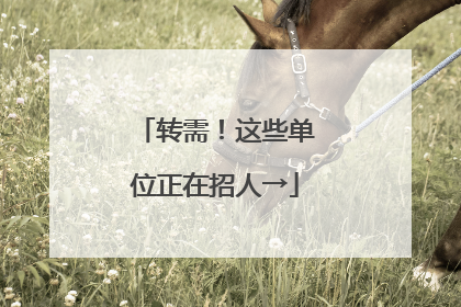 转需！这些单位正在招人→