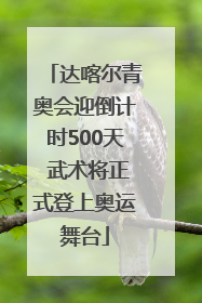 达喀尔青奥会迎倒计时500天 武术将正式登上奥运舞台