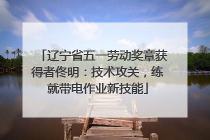 辽宁省五一劳动奖章获得者佟明：技术攻关，练就带电作业新技能
