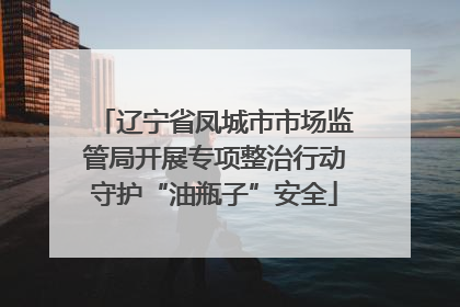 辽宁省凤城市市场监管局开展专项整治行动守护“油瓶子”安全