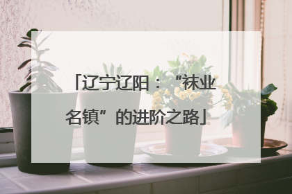 辽宁辽阳：“袜业名镇”的进阶之路