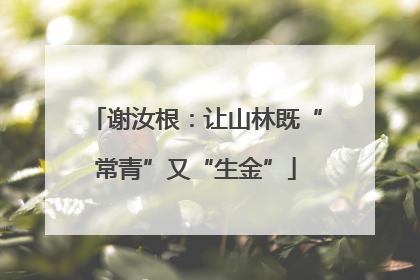谢汝根：让山林既“常青”又“生金”