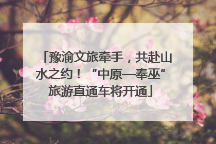 豫渝文旅牵手，共赴山水之约！“中原—奉巫”旅游直通车将开通