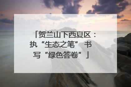 贺兰山下西夏区：执“生态之笔” 书写“绿色答卷”