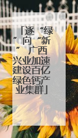 逐“绿”向“新” 广西兴业加速建设百亿绿色钙产业集群