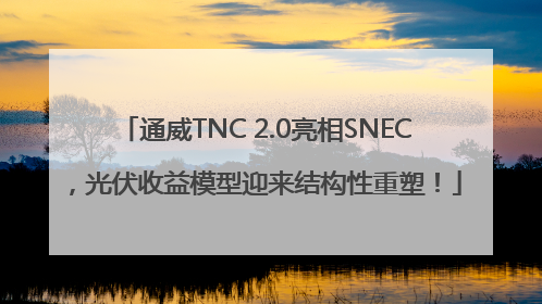 通威TNC 2.0亮相SNEC，光伏收益模型迎来结构性重塑！