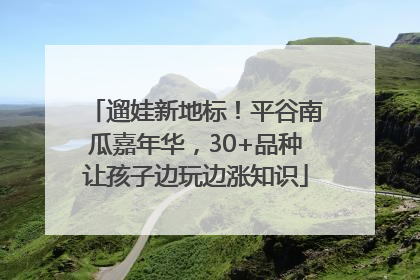 遛娃新地标！平谷南瓜嘉年华，30+品种让孩子边玩边涨知识