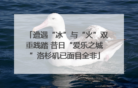 遭遇“冰”与“火”双重践踏 昔日“爱乐之城”洛杉矶已面目全非