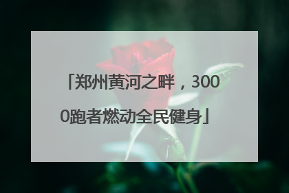 郑州黄河之畔，3000跑者燃动全民健身
