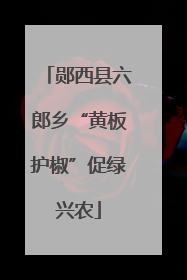 郧西县六郎乡“黄板护椒”促绿兴农