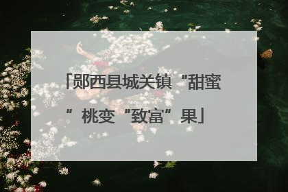 郧西县城关镇“甜蜜”桃变“致富”果