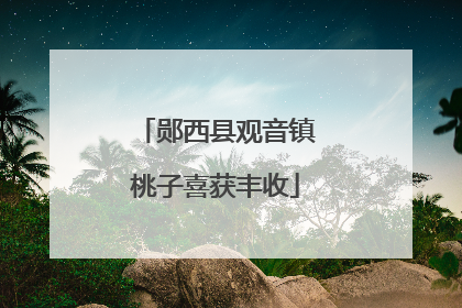 郧西县观音镇桃子喜获丰收