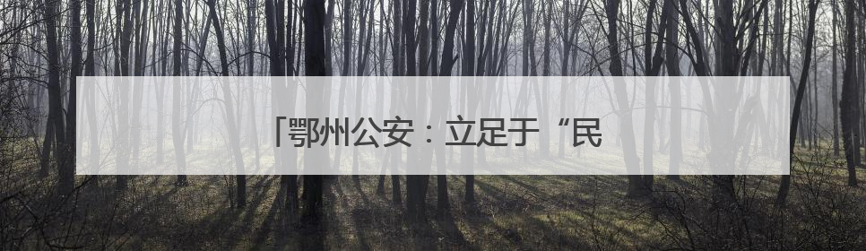 鄂州公安：立足于“民”，“典”燃学法热！