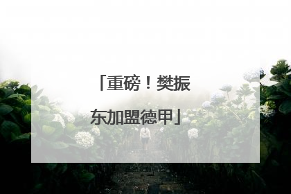 重磅！樊振东加盟德甲