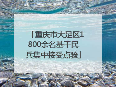 重庆市大足区1800余名基干民兵集中接受点验