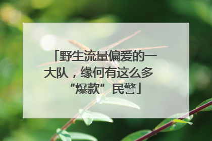 野生流量偏爱的一大队，缘何有这么多“爆款”民警