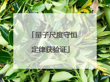 量子尺度守恒定律获验证