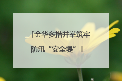 金华多措并举筑牢防汛“安全堤”