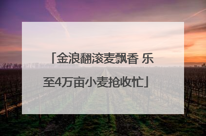 金浪翻滚麦飘香 乐至4万亩小麦抢收忙