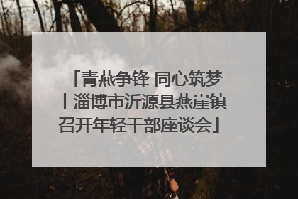 青燕争锋 同心筑梦丨淄博市沂源县燕崖镇召开年轻干部座谈会