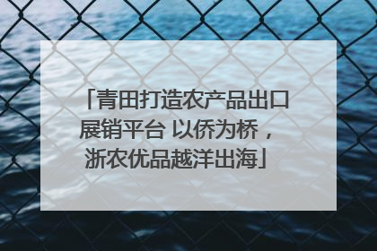 青田打造农产品出口展销平台 以侨为桥，浙农优品越洋出海