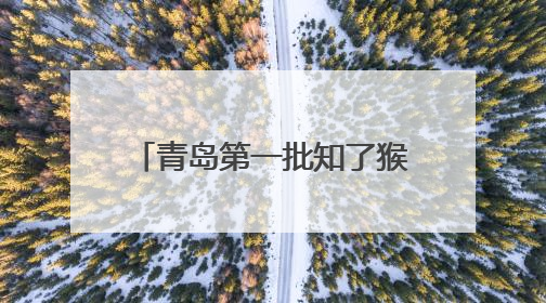 青岛第一批知了猴来了！80后小伙承包60亩林地，高峰期日入过万